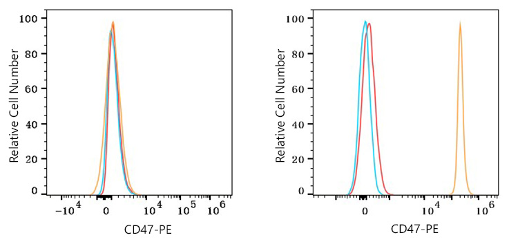 PE Rabbit anti-Mouse CD47 mAb