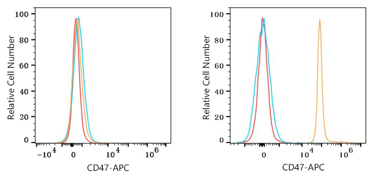 APC Rabbit anti-Mouse CD47 mAb