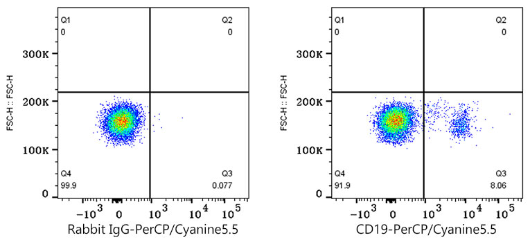 PerCP/Cyanine5.5 Rabbit anti-Human/Monkey CD19 mAb