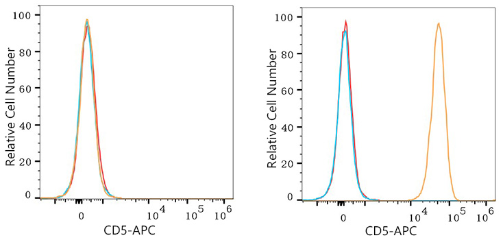 APC Rabbit anti-Human CD5 mAb