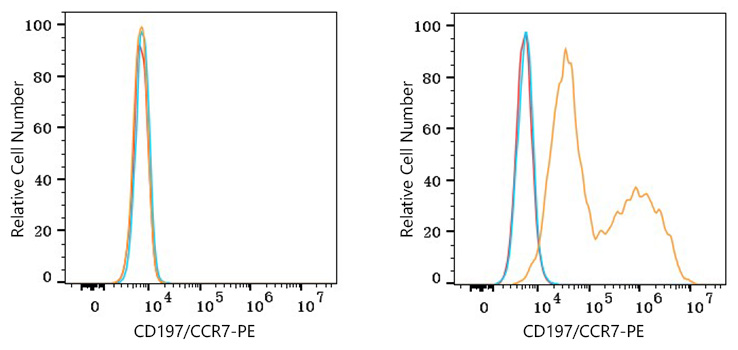 PE Rabbit anti-Human CD197/CCR7 mAb