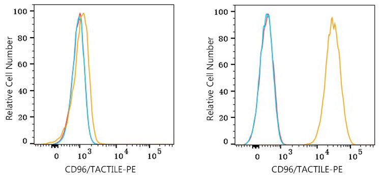 PE Rabbit anti-Human CD96/TACTILE mAb