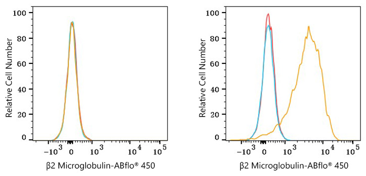 ABflo® 450 Rabbit anti-Human β2 Microglobulin mAb