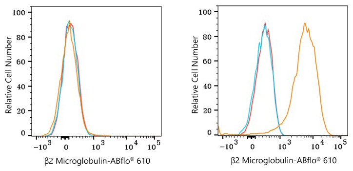 ABflo® 610 Rabbit anti-Human β2 Microglobulin mAb