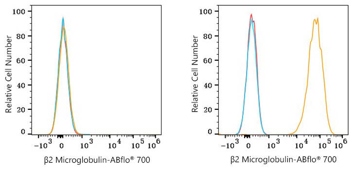 ABflo® 700 Rabbit anti-Human β2 Microglobulin mAb