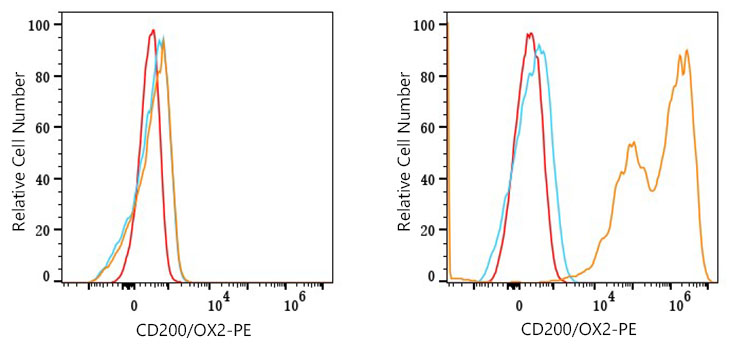 PE Rabbit anti-Mouse CD200/OX2 mAb