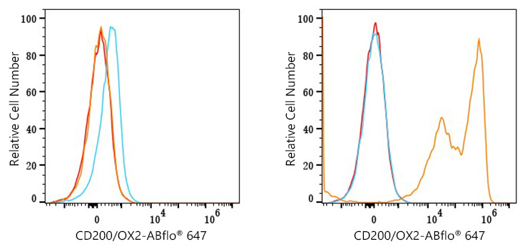 ABflo® 647 Rabbit anti-Mouse CD200/OX2 mAb