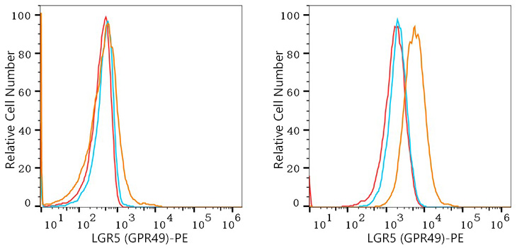 PE Rabbit anti-Human LGR5 (GPR49) mAb