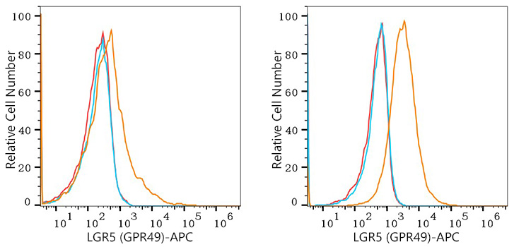 APC Rabbit anti-Human LGR5 (GPR49) mAb