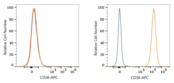 APC Rabbit anti-Human CD38 mAb