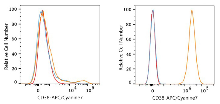 APC/Cyanine7 Rabbit anti-Human CD38 mAb