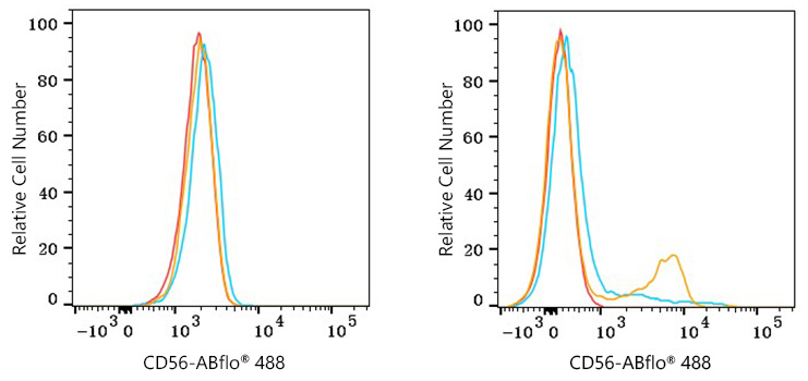 ABflo® 488 Mouse anti-Human CD56 mAb