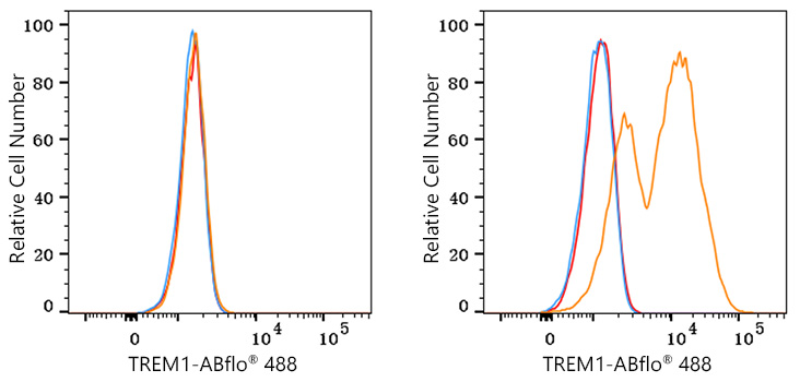 ABflo® 488 Rabbit anti-Human TREM1 mAb