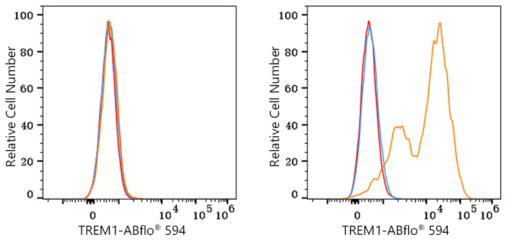 ABflo® 594 Rabbit anti-Human TREM1 mAb