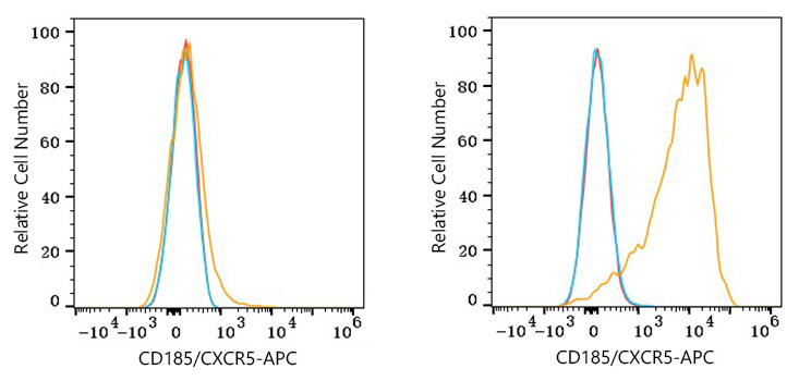 APC Rabbit anti-Human CD185/CXCR5 mAb