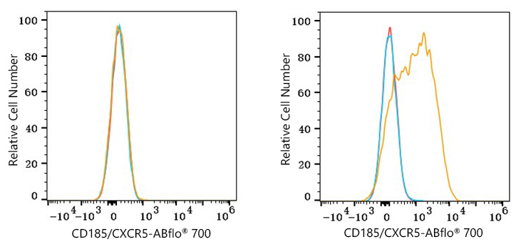 ABflo® 700 Rabbit anti-Human CD185/CXCR5 mAb