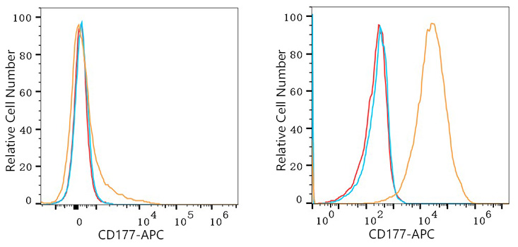 APC Rabbit anti-Human CD177 mAb