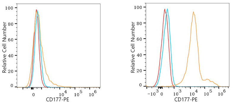 PE Rabbit anti-Human CD177 mAb