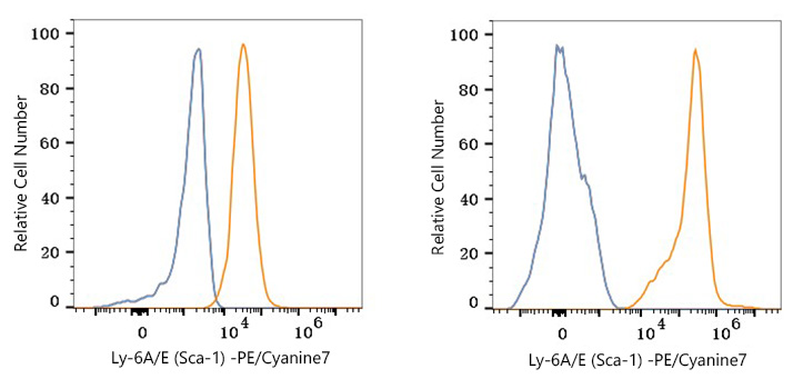 PE/Cyanine7 Rabbit anti-Mouse Ly-6A/E (Sca-1) mAb