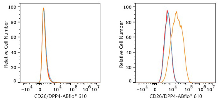 ABflo® 610 Rabbit anti-Human CD26/DPP4 mAb