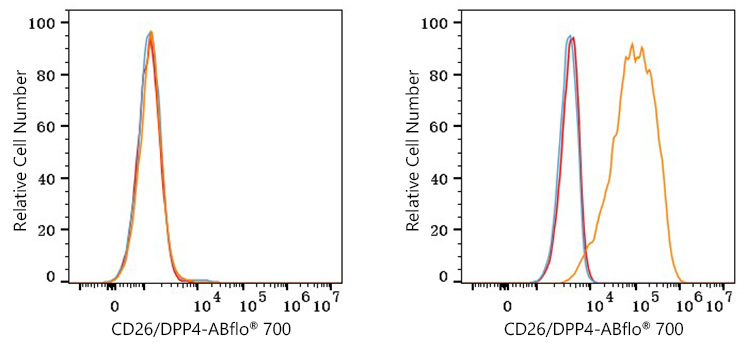 ABflo® 700 Rabbit anti-Human CD26/DPP4 mAb