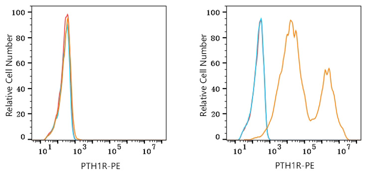 PE Rabbit anti-Human PTH1R mAb