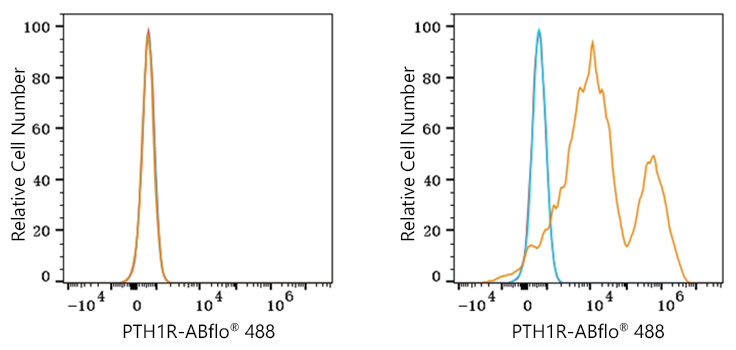 ABflo® 488 Rabbit anti-Human PTH1R mAb