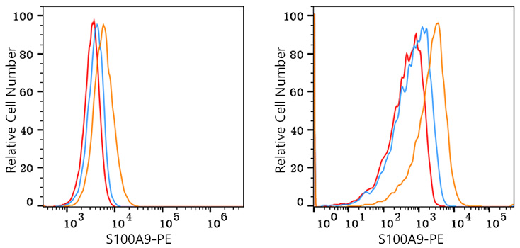 PE Rabbit anti-Mouse S100A9 mAb