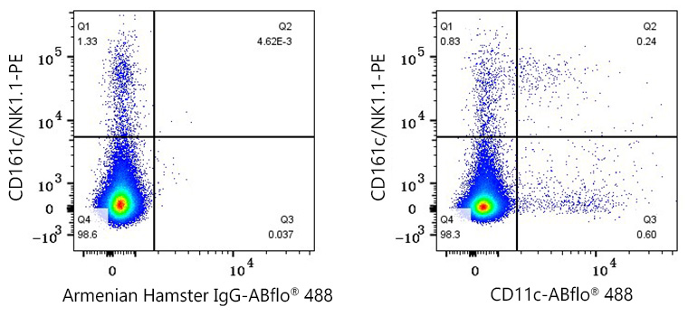 ABflo® 488 Armenian Hamster anti-Mouse CD11c mAb