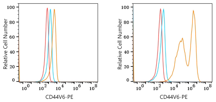 PE Rabbit anti-Human CD44V6 mAb