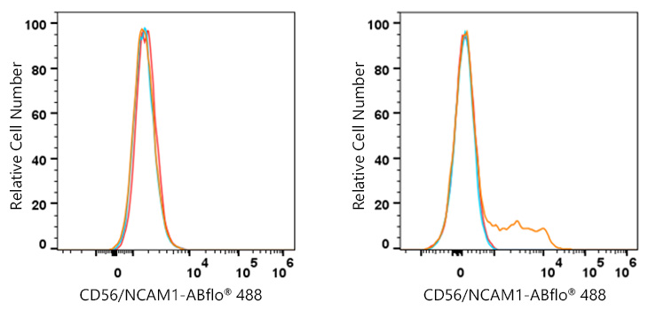 ABflo® 488 Rabbit anti-Human CD56/NCAM1 mAb