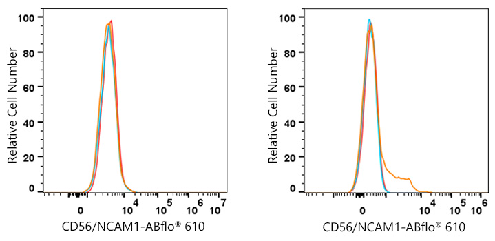 ABflo® 610 Rabbit anti-Human CD56/NCAM1 mAb