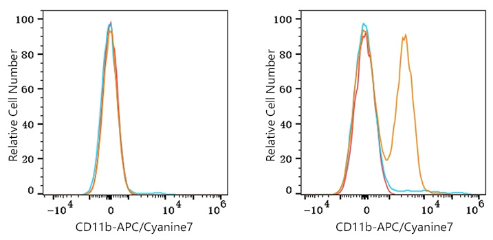 APC/Cyanine7 Rabbit anti-Mouse CD11b mAb