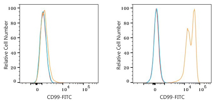 FITC Rabbit anti-Human CD99 mAb