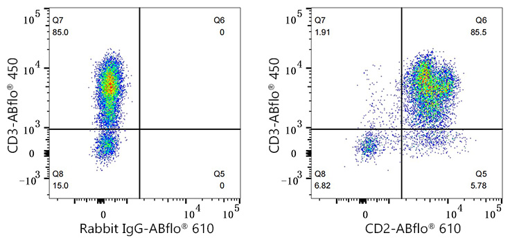 ABflo® 610 Rabbit anti-Human CD2 mAb