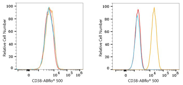 ABflo® 500 Rabbit anti-Human CD38 mAb