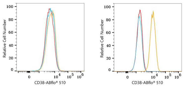 ABflo® 510 Rabbit anti-Human CD38 mAb