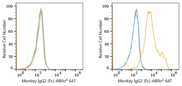 ABflo® 647 Rabbit anti-Monkey IgG2 (Fc) mAb