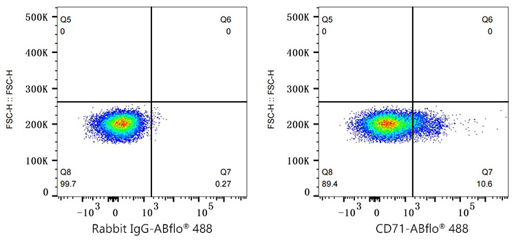 ABflo® 488 Rabbit anti-Mouse CD71 mAb