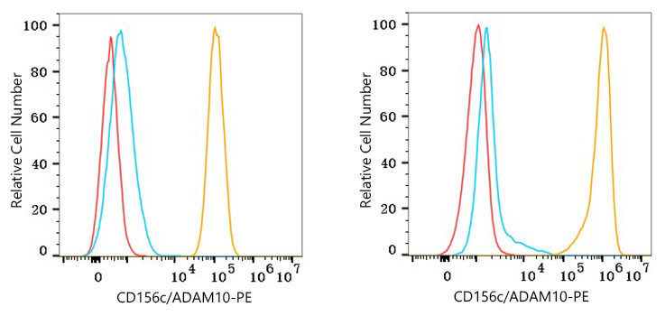 PE Rabbit anti-Human CD156c/ADAM10 mAb