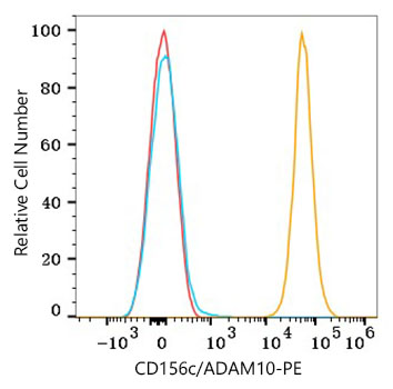 CD156c Antibody