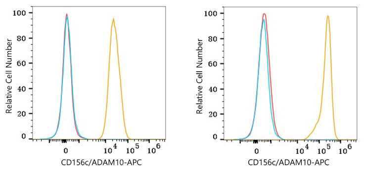 APC Rabbit anti-Human CD156c/ADAM10 mAb