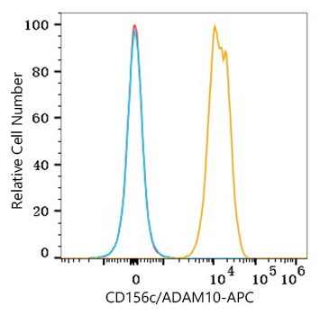 CD156c antibody