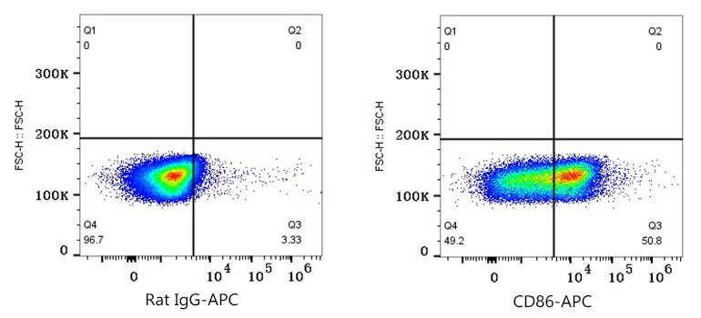 APC Rat anti-Mouse CD86 mAb