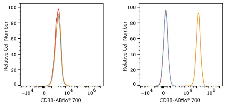 ABflo® 700 Rabbit anti-Human CD38 mAb