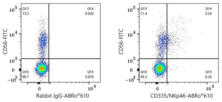 ABflo® 610 Rabbit anti-Human CD335/NKp46 mAb