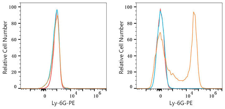 PE Rat anti-Mouse Ly-6G mAb