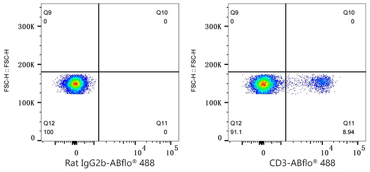 ABflo® 488 Rat anti-Mouse CD3 mAb