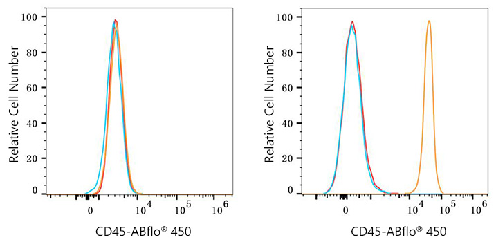 ABflo® 450 Rabbit anti-Mouse CD45 mAb