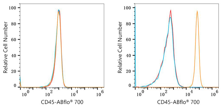 ABflo® 700 Rabbit anti-Mouse CD45 mAb